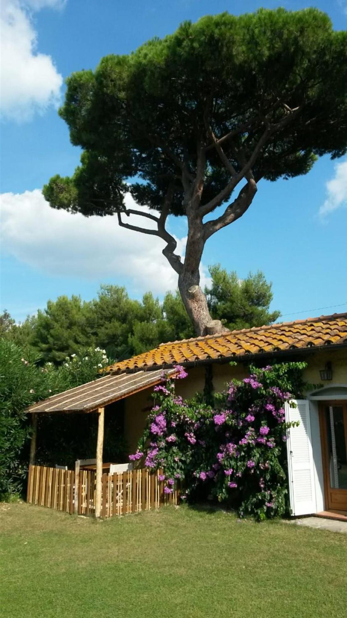 I Cavalleggeri Villa Castagneto Carducci Exteriör bild